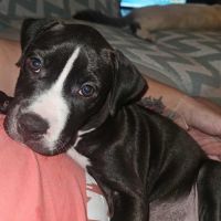 Bria, le bout de chou joyeux