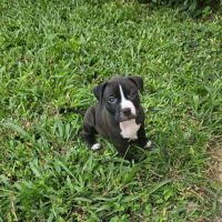 Bria, le bout de chou joyeux #4