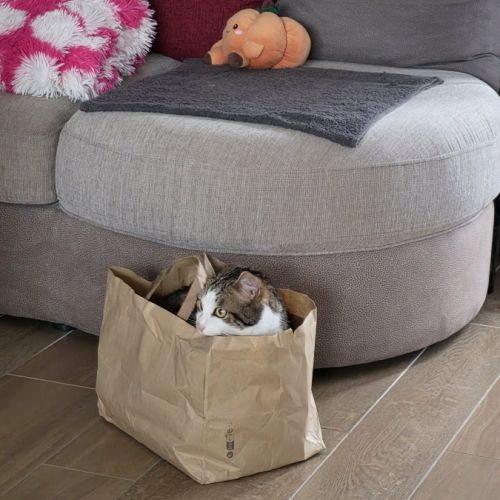 Almira- la battante ! #3