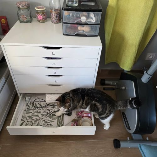 La battante - almira #6