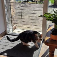 La battante - almira #2