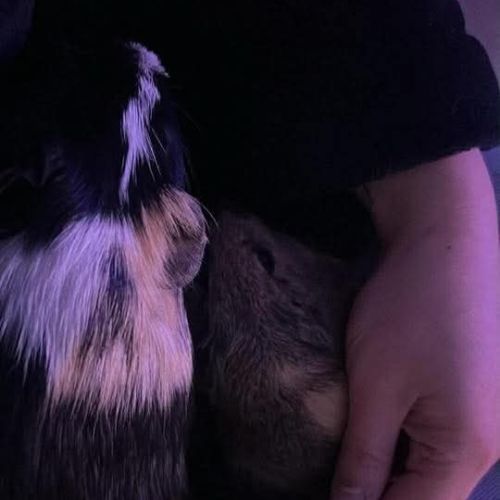 Karadoc et arthur #2