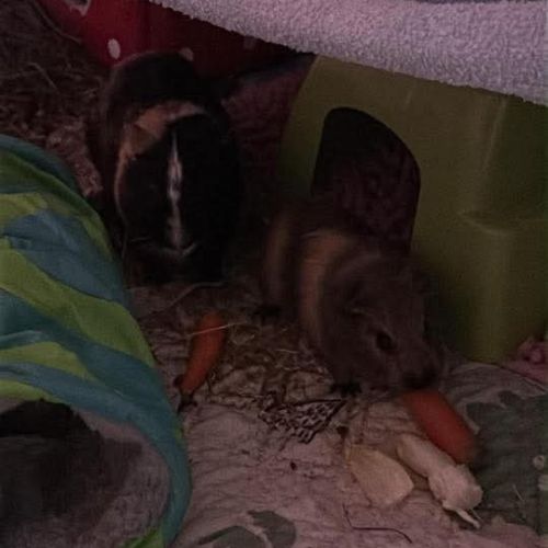 Karadoc et arthur #4