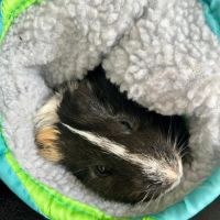 Karadoc et arthur #1