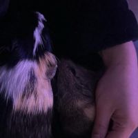 Karadoc et arthur #2