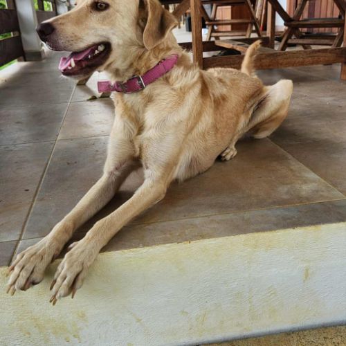 Suzie la belle et douce louloute #4