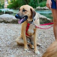 Caracol, jeune beau et affectueux 💙 #1