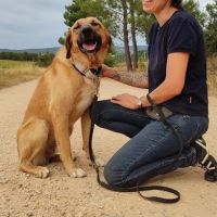 Caracol, jeune beau et affectueux 💙 #2