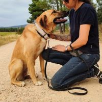 Caracol, jeune beau et affectueux 💙 #0