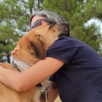 Caracol, jeune beau et affectueux 💙 #7