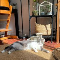 Notre douce mélie à l'adoption #3