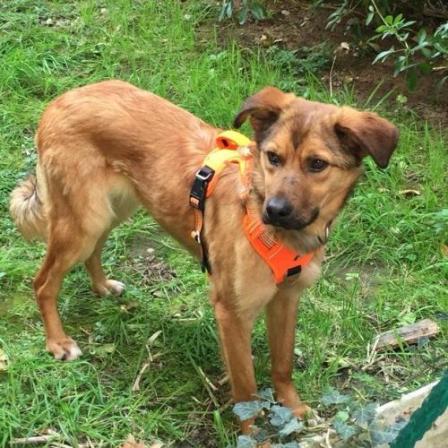 A adopter barni se trouve en famille d'accueil 75 #3