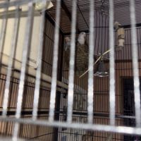 Couple inséparable #3