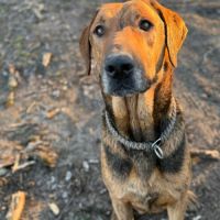 Theo, compagnon idéal pour de belles aventures ! #0