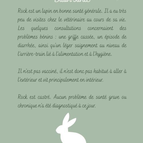 Lapin nain (tout inclus)