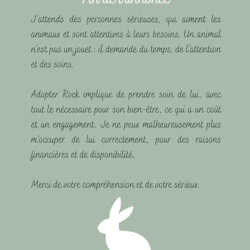Lapin nain (tout inclus) #4