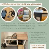 Lapin nain (tout inclus) #3