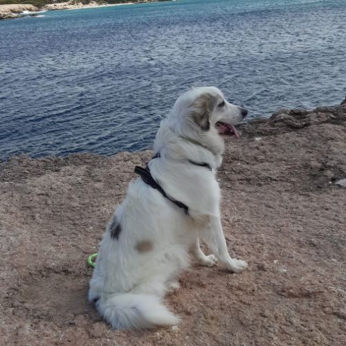 Bonjour je m'appelle thais #2