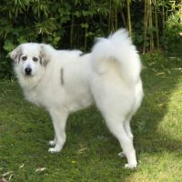 Bonjour je m'appelle thais #1