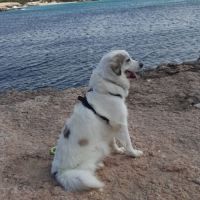 Bonjour je m'appelle thais #2