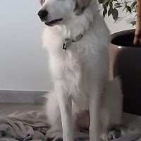 Bonjour je m'appelle thais #3