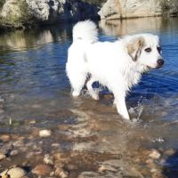 Bonjour je m'appelle thais #0