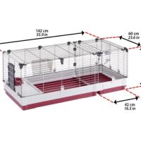 Lapin nain et tout son nécessaire #2