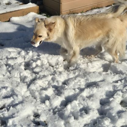 Olympe patou croisé #1