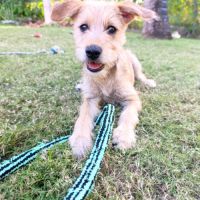 Noisette, la petite curieuse #2