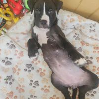 Bria,la machine à câlins #5