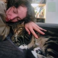 Loki, adorable chaton de 5 mois #2