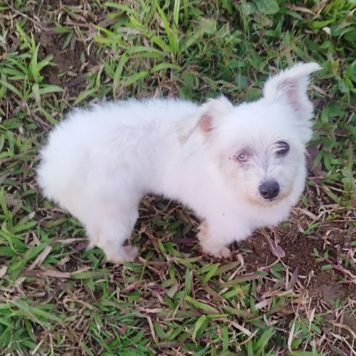 Lilite la princesse #3