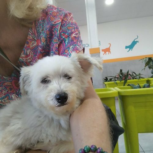 Lilite la princesse #6