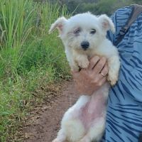 Lilite la princesse #2