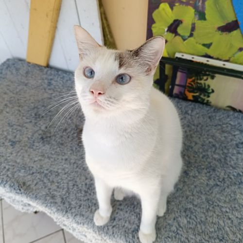 Lily rose, pourquoi personne ne m'aime #0