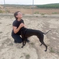 Rasmia, merveilleuse galga de 2 ans #5