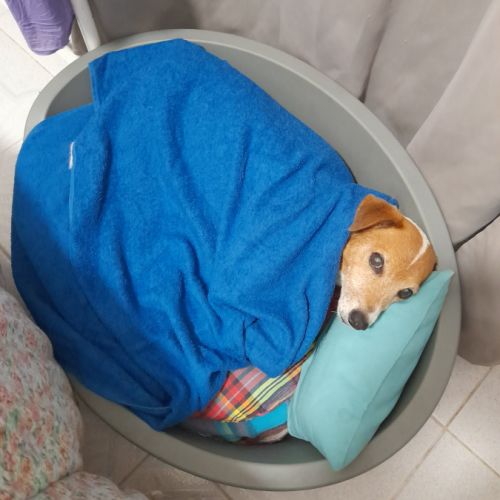 Rudy la boule d'énergie #5