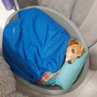 Rudy la boule d'énergie #5