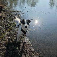 Vador l'adorable petit guerrier tripatte #0