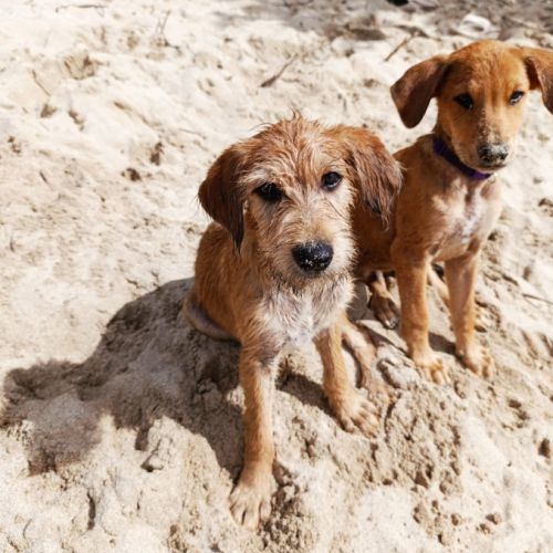 Youpi, bébé chéri #2