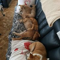 Youpi, bébé chéri #3