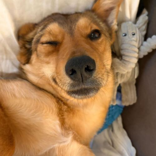 Romny se trouve en famille d'accueil paris 03