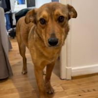 Romny se trouve en famille d'accueil paris 03 #1