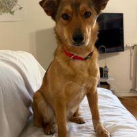 Romny se trouve en famille d'accueil paris 03 #6