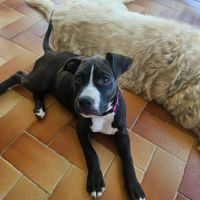 Bria, la boule d'énergie #8