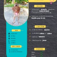 Kiara, le rayon de soleil #2