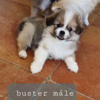 Babs et buster #2