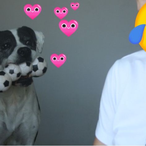 Pepa cherche sa famille pour la vie #2