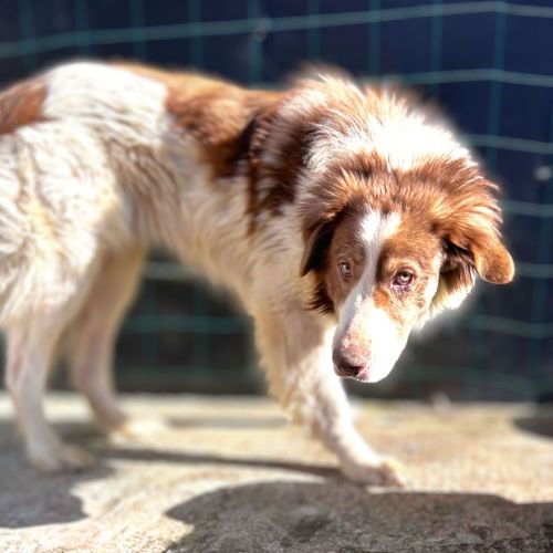 Lior tout jeune recherche sa famille pour la vie !