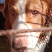 Lior tout jeune recherche sa famille pour la vie ! #1